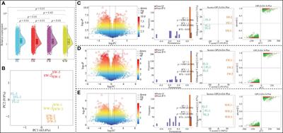 Analysis of the effect of different withering methods on tea quality based on transcriptomics and metabolomics